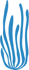 Pediatric Dentist in Cary, Pediatric Dentistry in Cary, Kid-Friendly dentist in Cary, Dentist for Kids in Cary